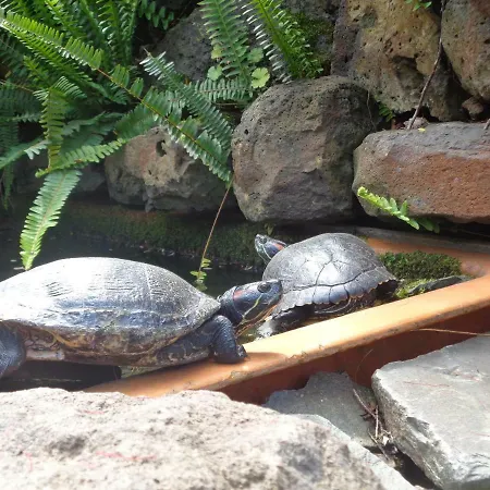 Magro's House 아파트