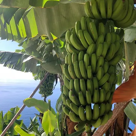 Magro's House Apartament *