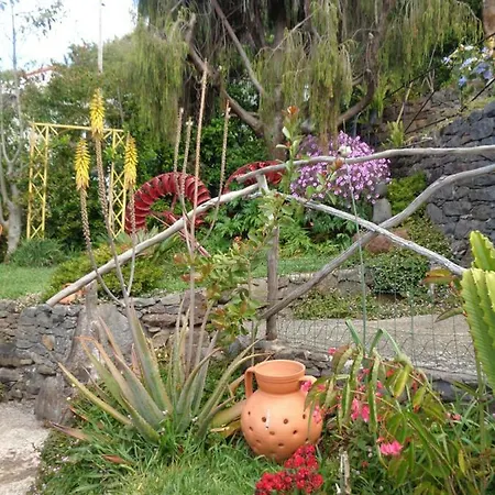 Apartament Magro's House Arco da Calheta (Madeira)