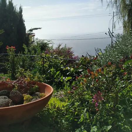 Magro's House Arco da Calheta (Madeira)