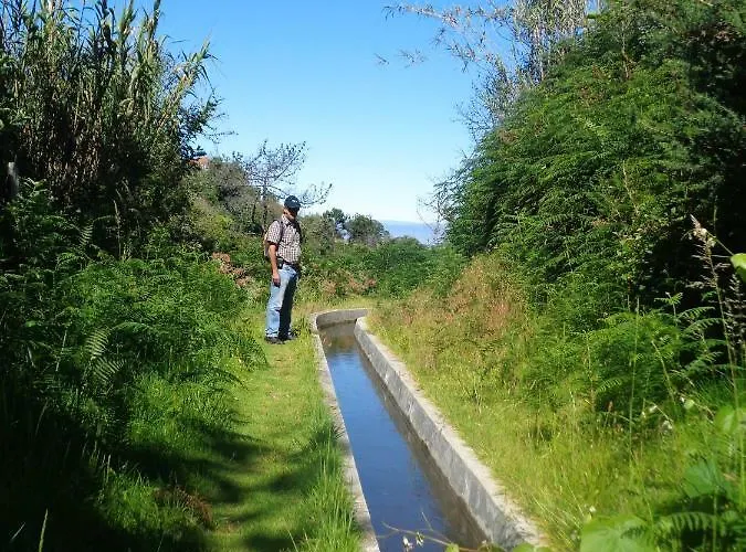 公寓 Magro's House 阿科达卡列塔