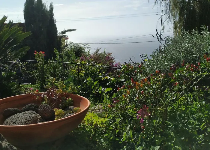 Magro's House 阿科达卡列塔